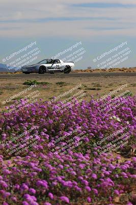 media/Jan-08-2023-SCCA SD (Sun) [[8f6a5b9391]]/Intermediate Group/Session 2 (Short Straight)/